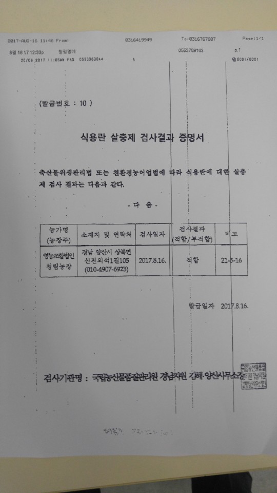 8월 깐계란4.jpg